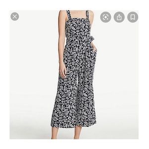 Ann Taylor Jumpsuit